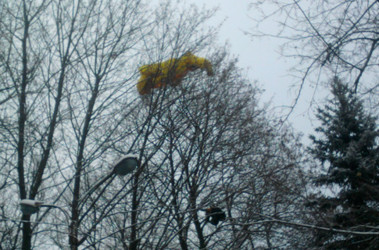 13 лютого 2012, 19:24 Переглядів:   Вітер закинув парапланериста на дерево
