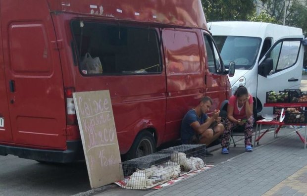 На знімку видно, що вся територія завалена відходами, ніхто навіть не думає прибрати, і абсолютно байдуже, що поряд знаходиться великий торговий центр - якщо такі точки ще існують, значить користуються попитом: