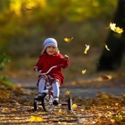 Якщо ж транспорт вкрали у вас, і протягом сну ви безуспішно шукали пропажу, - належить вирішення складних проблем з родичами, тяжкість яких ляже на ваші плечі