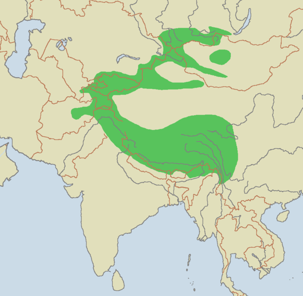 Сніговий барс живе в високих і важкодоступних гірських регіонах центральної Росії, в Монголії, на заході Китаю і на Тибеті, в Узбекистані, Казахстані, Киргизстані, Індії, Пакистані та Афганістані